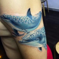 Tatuaggio del Delfino: Significato, Idee e Foto