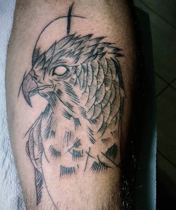 Tatuaggio Falco Foto, Significato, Idee Tatuaggio.co
