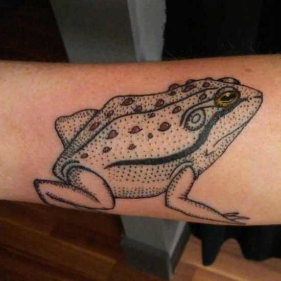 Tatuaggio Rana Tatuaggio Rana: Significato, Idee e Foto - Tatuaggio.co
