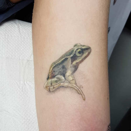 Tatuaggio Rana Tatuaggio Rana: Significato, Idee e Foto - Tatuaggio.co